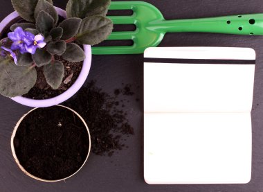 Bahçecilik aletleri ve beyaz arka plan üzerinde çiçek