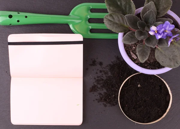 Bahçecilik aletleri ve beyaz arka plan üzerinde çiçek