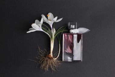 Spa tedavisinin bileşimi