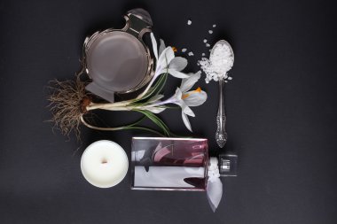Spa tedavisinin bileşimi