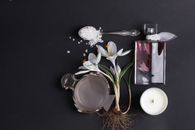 Spa tedavisinin bileşimi