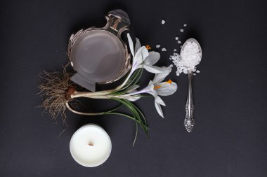 Spa tedavisinin bileşimi