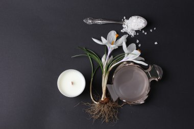 Spa tedavisinin bileşimi