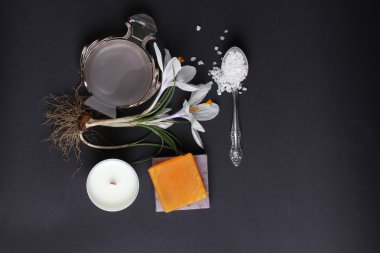 Spa tedavisinin bileşimi