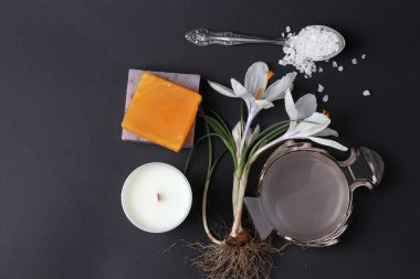 Spa tedavisinin bileşimi