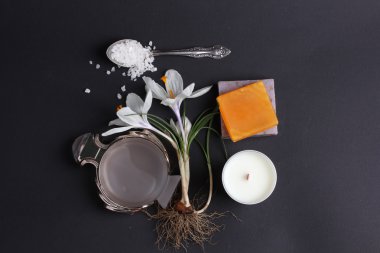 Spa tedavisinin bileşimi