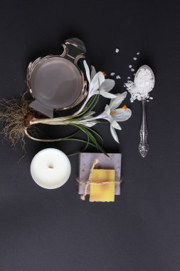 Spa tedavisinin bileşimi