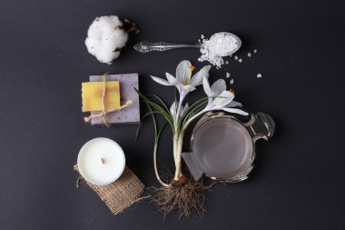 Spa tedavisinin bileşimi