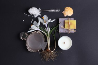 Spa tedavisinin bileşimi