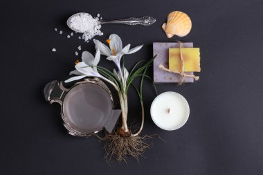 Spa tedavisinin bileşimi