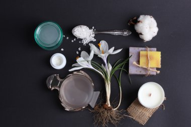 Spa tedavisinin bileşimi