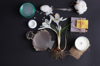 Spa tedavisinin bileşimi