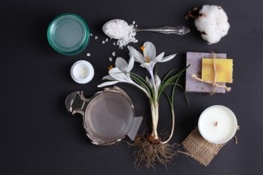 Spa tedavisinin bileşimi