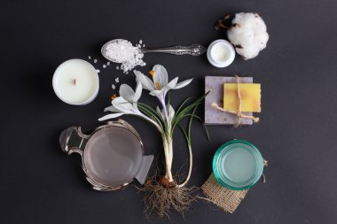 Spa tedavisinin bileşimi