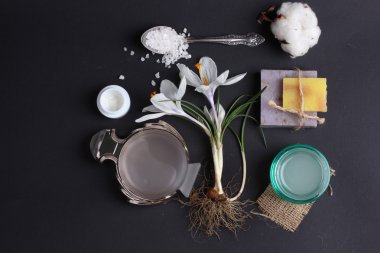 Spa tedavisinin bileşimi