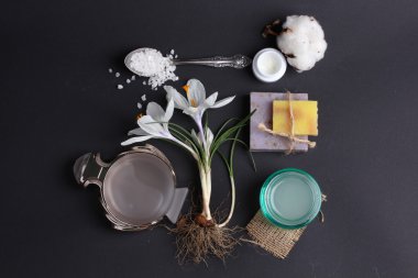 Spa tedavisinin bileşimi