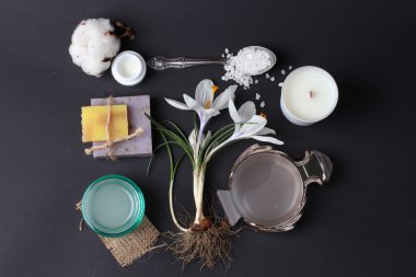 Spa tedavisinin bileşimi