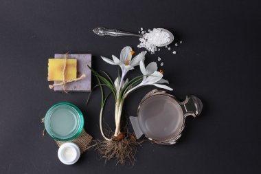 Spa tedavisinin bileşimi