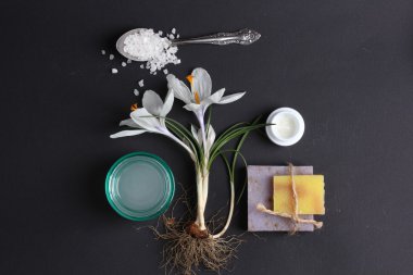 Spa tedavisinin bileşimi