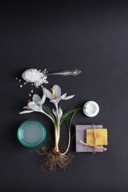 Spa tedavisinin bileşimi