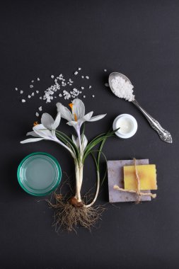 Spa tedavisinin bileşimi