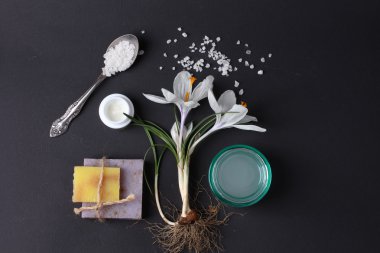 Spa tedavisinin bileşimi