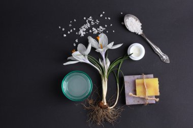 Spa tedavisinin bileşimi