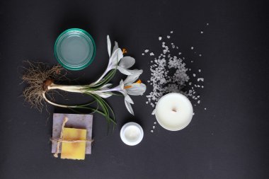 Spa tedavisinin bileşimi