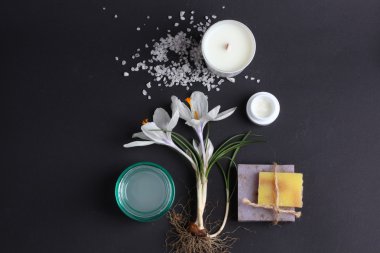 Spa tedavisinin bileşimi