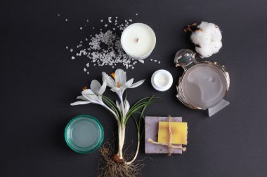 Spa tedavisinin bileşimi