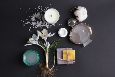 Spa tedavisinin bileşimi