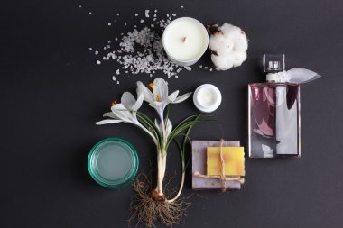 Spa tedavisinin bileşimi