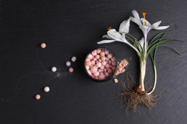 Koyu arkaplanda ruj ve crocus çiçeğinin üst görünümü 