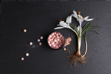 Koyu arkaplanda ruj ve crocus çiçeğinin üst görünümü 