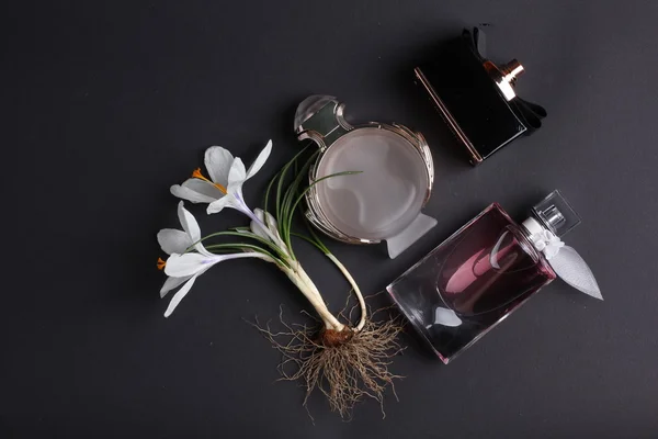 Siyah arka plan üzerine çiçek çevrili parfüm şişeleri. — Stok fotoğraf
