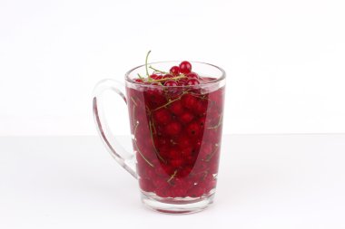 Cam, beyaz arka plan üzerinde izole kırmızı kuş üzümü