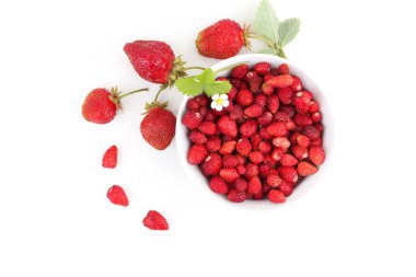 çilek berry ile yaprak yeşil ve beyaz arka plan üzerinde izole çiçek