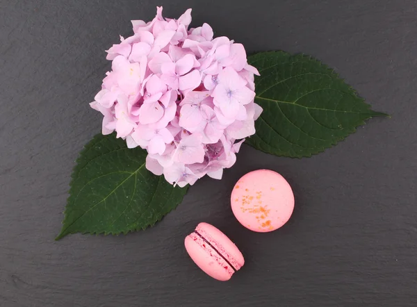 Top view of tasty pink macaroons with hydrangea flower — Stock Photo, Image