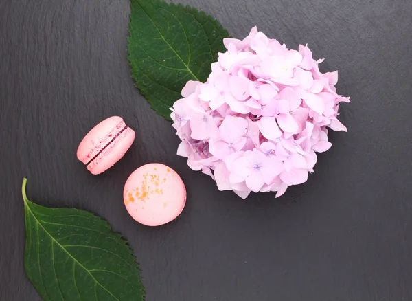 Top view of tasty pink macaroons with hydrangea flower — Stock Photo, Image