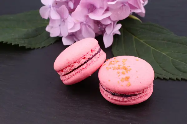 Vue de dessus de savoureux macarons roses avec fleur d'hortensia — Photo