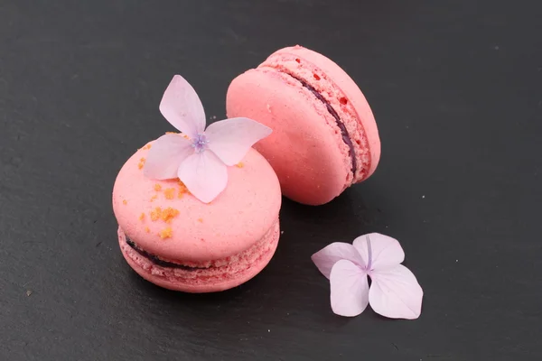 Vue de dessus de savoureux macarons roses avec fleur d'hortensia — Photo