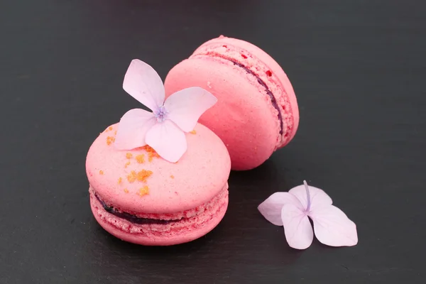 Vue de dessus de savoureux macarons roses avec fleur d'hortensia — Photo