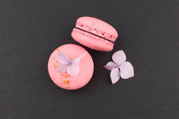 Gros plan des macarons bleuets roses sur le tableau noir — Photo