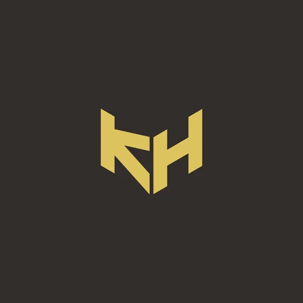 Logo Letter Initial Logo Designs Template Gold Black Background 아이콘 — 스톡 벡터