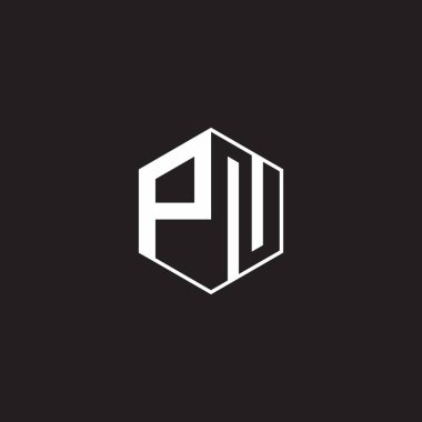 PN Logo monogram hexagon with black background negative space style