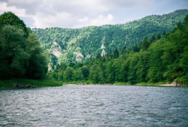 Polonya Dunajec nehirde. Dağlar manzara.