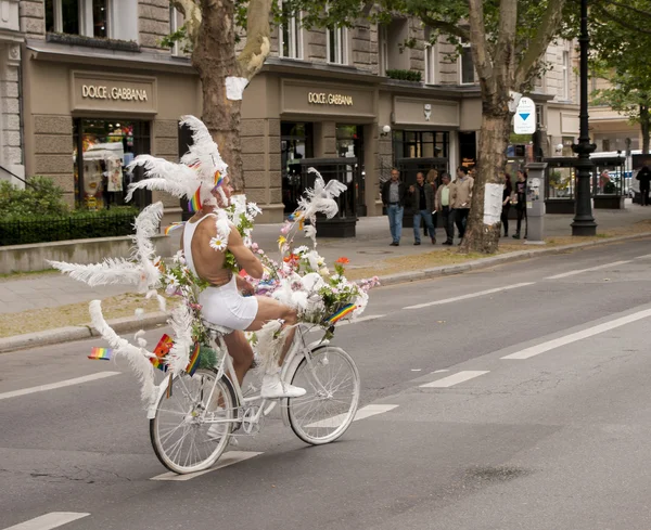 Elaborately dressed participant riding bike, during Christopher — Stock Photo, Image