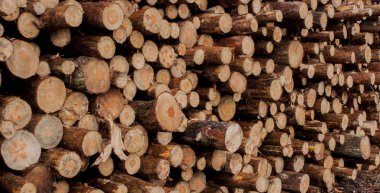 Yangın yerinde yakmak için odun yığını