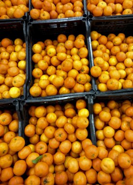 Gıda mağazasında kutularındaki mandalina