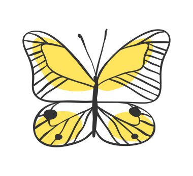 İzole kelebek. El vektör çizim çekilmiş. Dekoratif elemanları tasarımı için. Siyah kontur çizim. Yaratıcı mürekkep sanat eseri